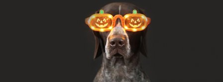 Cool Halloween Dog Facebook Covers