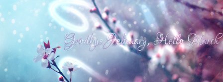 Goodbye February Hello March Facebook Covers