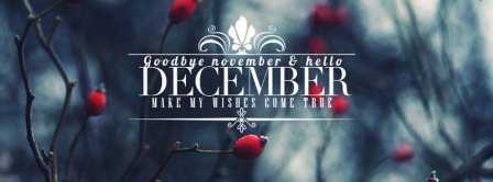 Goodbye November Hello December Facebook Covers