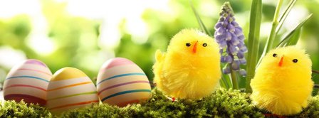 Happy Easter Cute Chickens Facebook Covers