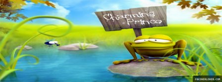 Happy Frog Facebook Covers