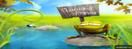 Happy Frog Facebook Covers