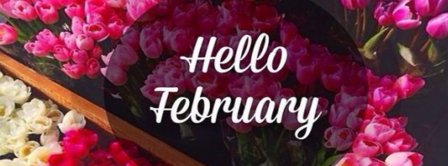 Hello February Flowers February Facebook Covers