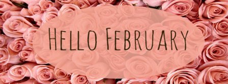 Hello February Roses Facebook Covers