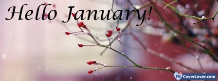 Hello January Facebook Covers