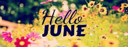 Hello June Flowers Field Facebook Covers