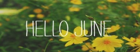 Hello June Daffodils Facebook Covers