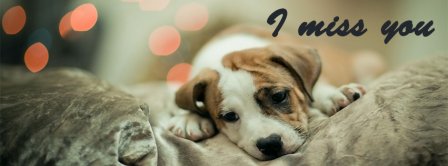I Miss You My Dog Facebook Covers