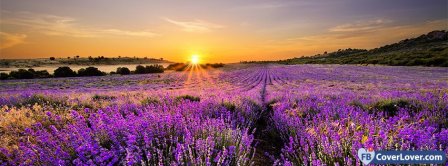 Lavender Flowers Landscape Facebook Covers