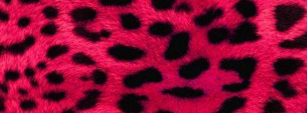 Leopard Pink Facebook Covers