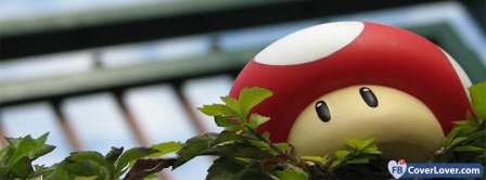 Toad  Facebook Covers
