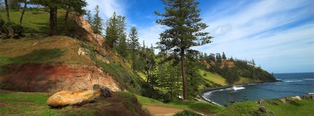 Norfolk Island Pines Facebook Covers