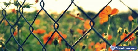 Fence And Poppies Facebook Covers