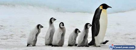 Penguin Awareness Day 3 Facebook Covers