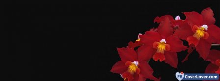 Red Orchids Flowers Facebook Covers