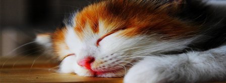 Sleepy Cat Facebook Covers