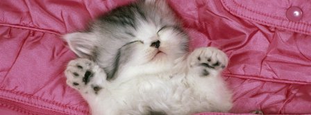 Sleepy Kitty Cat Facebook Covers