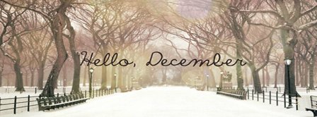 Hello December Snow And Light Facebook Covers