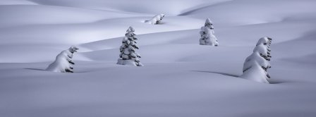 Snowy Pines Facebook Covers