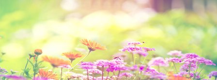 Spring Forest Flowers Facebook Covers