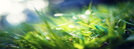 Spring Macro Green Grass Facebook Covers