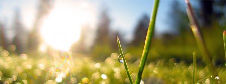 Spring Macro Green Grass Dew Facebook Covers