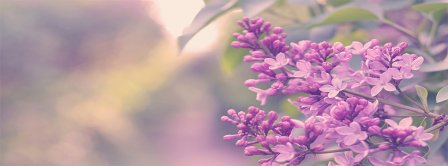 Spring Magic Lilac Facebook Covers