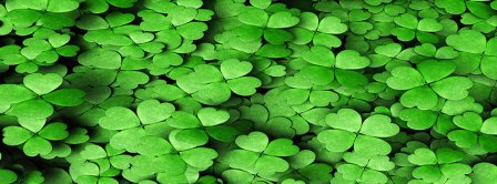 St Patricks Day Clovers Facebook Covers