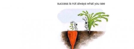 Success Is Not Always What You See Facebook Covers