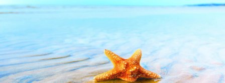 Summer Starfish Facebook Covers