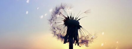 Sunset Dandelion Facebook Covers