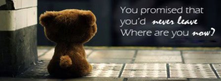 Teddy Bear Where Are You Now  Facebook Covers