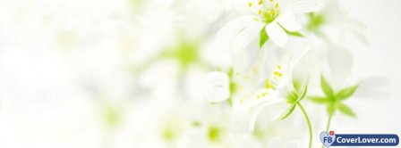 White Flowers Facebook Covers