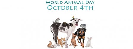 World Animal Day October 4th Facebook Covers