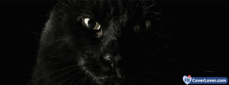 Black Angry Cat   Facebook Covers