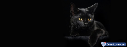 Blackcat 2   Facebook Covers