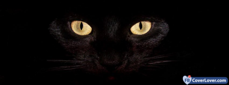 Blackcat  Facebook Covers