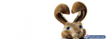 Bunny  Facebook Covers
