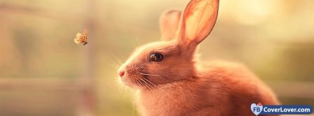  Cute Bunny Facebook Covers