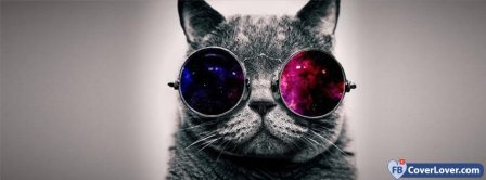 Cat With Glasses  Facebook Covers