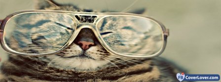 Cat With Glasses  Facebook Covers