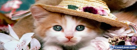 Cat With Hat  Facebook Covers