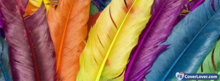 Colorful Feather  Facebook Covers