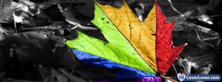 Colorful Leaf  Facebook Covers