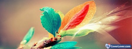 Colorful Leafs 2 Facebook Covers