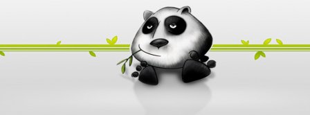 Cool Panda Facebook Covers