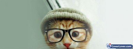 Cute Cat Glasses  Facebook Covers