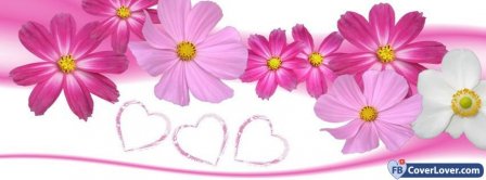 Cute Pink Flowers Facebook Covers