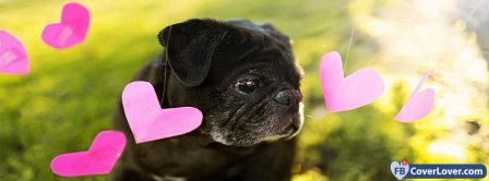 Dog And Hearts  Facebook Covers