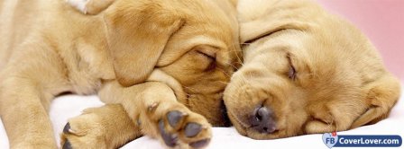 Doggies Cuddling  Facebook Covers